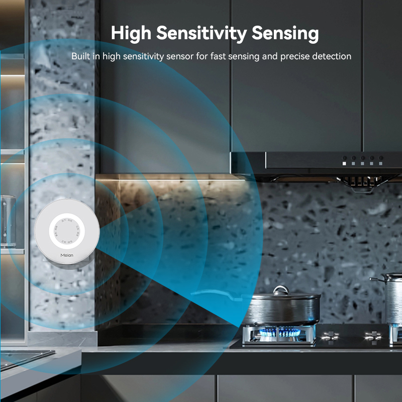 Meian Zigbee Rilevatore di gas - Smart Home Network recensione e prezzo