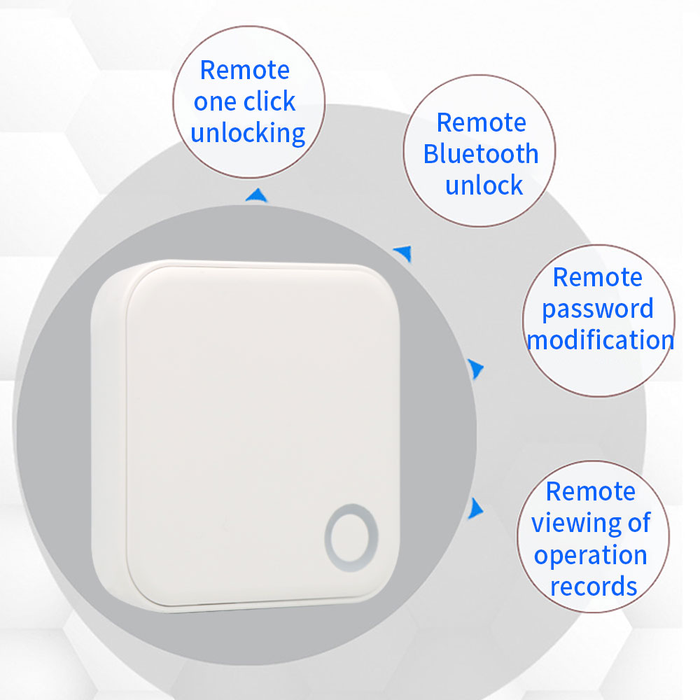 2.4G + 5G TTLOCK WIFI Gateway  - Smart Home Network recensione e prezzo
