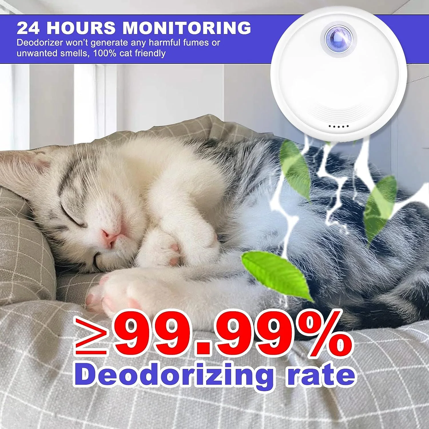 Purificatore di Odori Intellig - Smart Air Purifier recensione e prezzo
