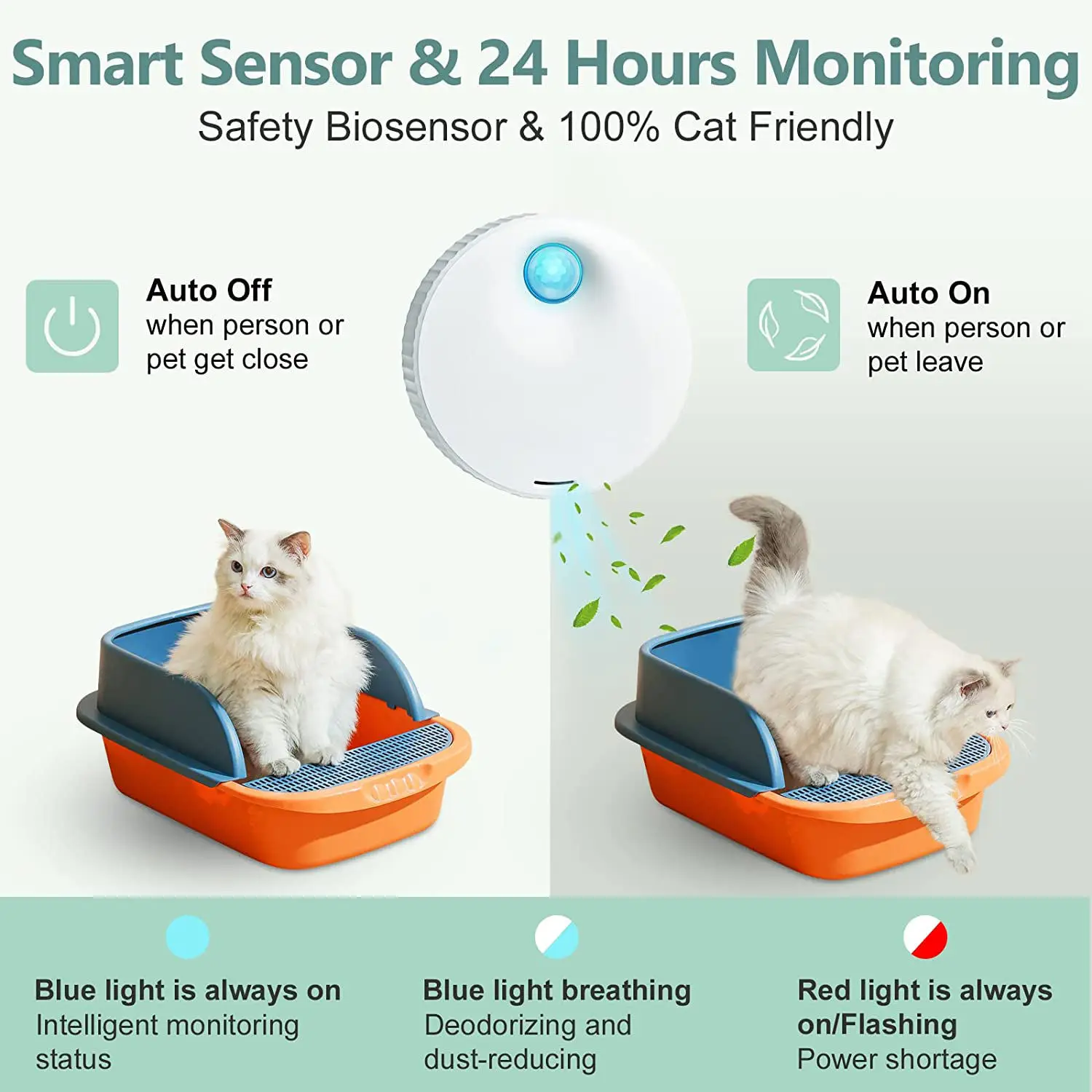 Purificatore di Odori Intellig - Smart Air Purifier recensione e prezzo