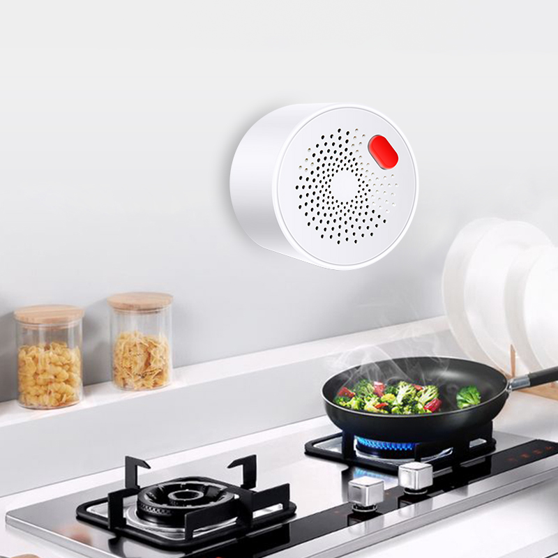Tuya Smart Home Wifi sensore d - Smart Home Network recensione e prezzo