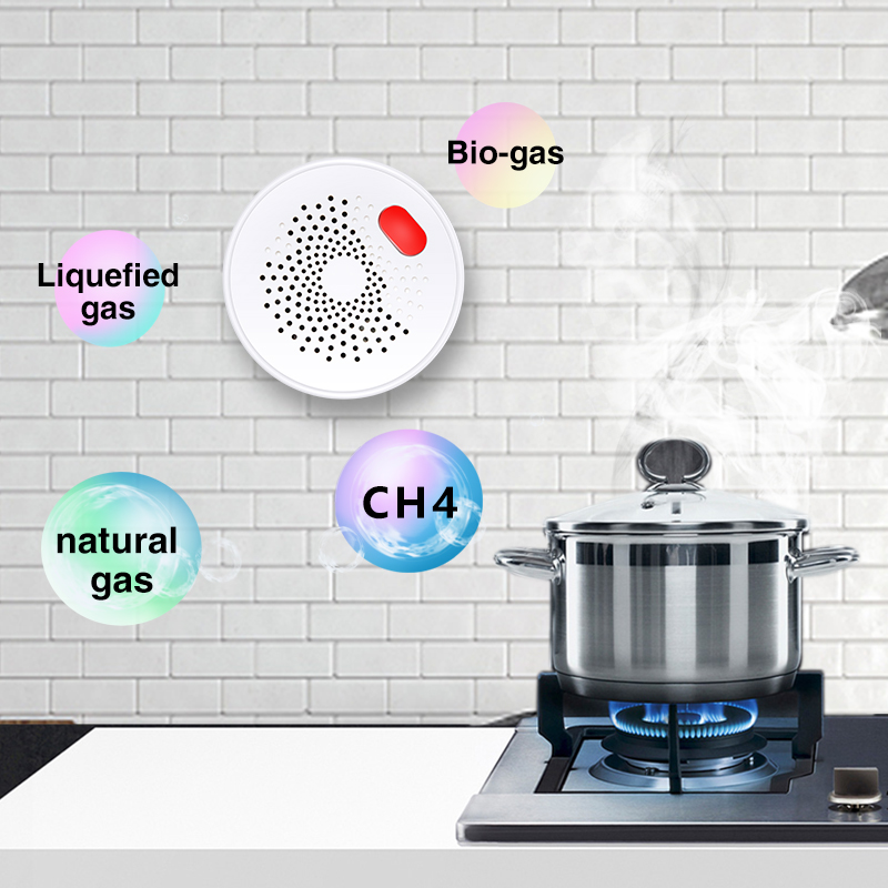 Tuya Smart Home Wifi sensore d - Smart Home Network recensione e prezzo