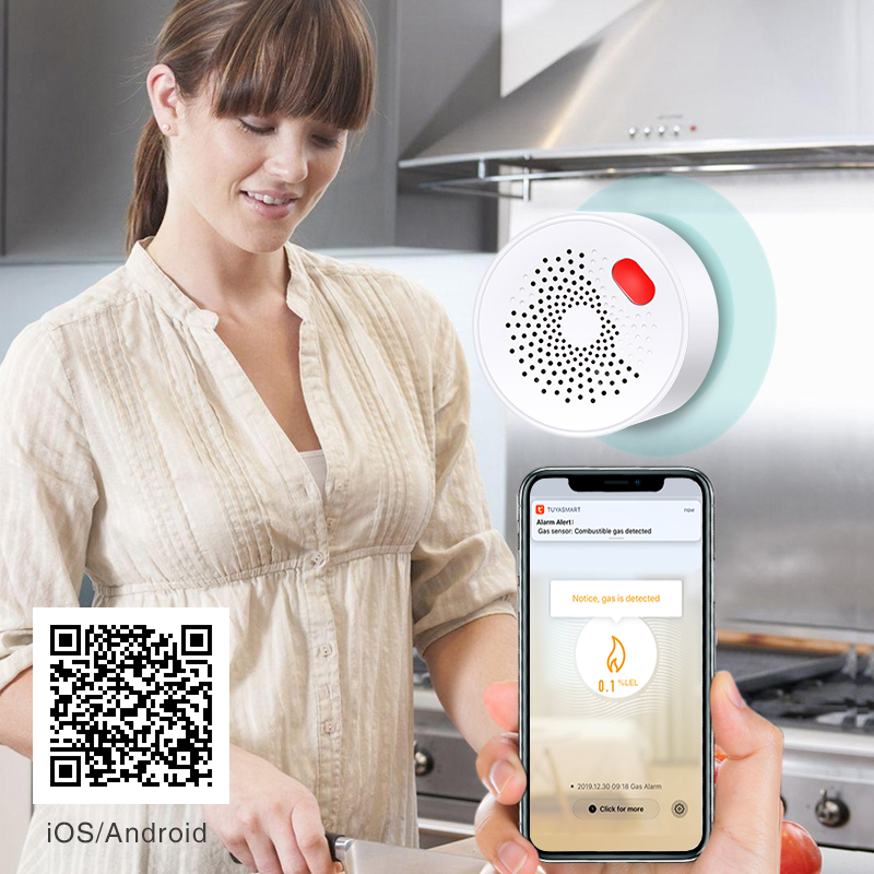 Tuya Smart Home Wifi sensore d - Smart Home Network recensione e prezzo